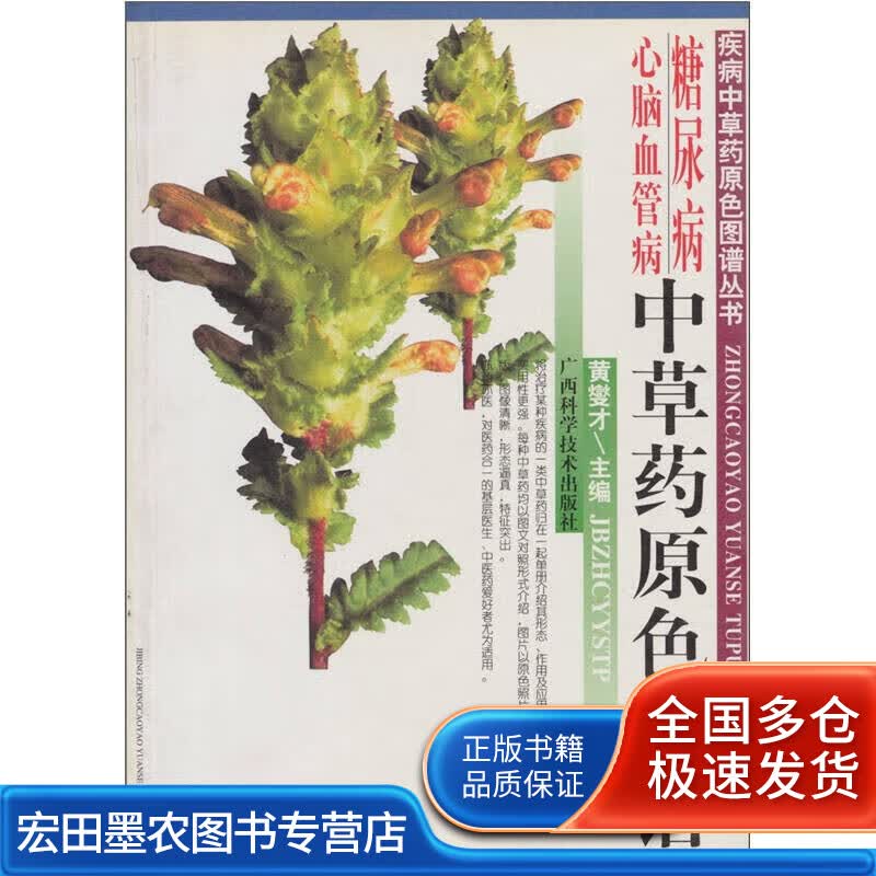 糖尿病心脑血管病中草药原色图谱【正版好书】