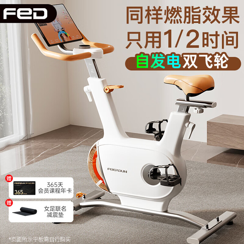飞尔顿fed动感单车智能家用器材运动磁控静音小型室内自行车健身车 【自发电】双飞轮白色-智能调阻