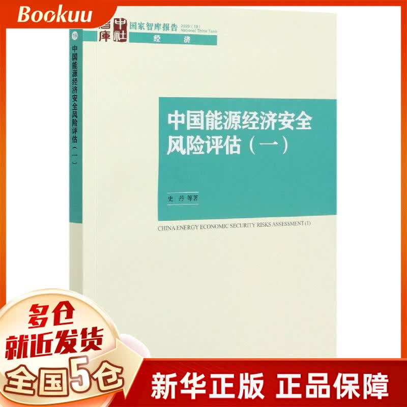 中国能源经济安全风险评估(1)/国家智库报告