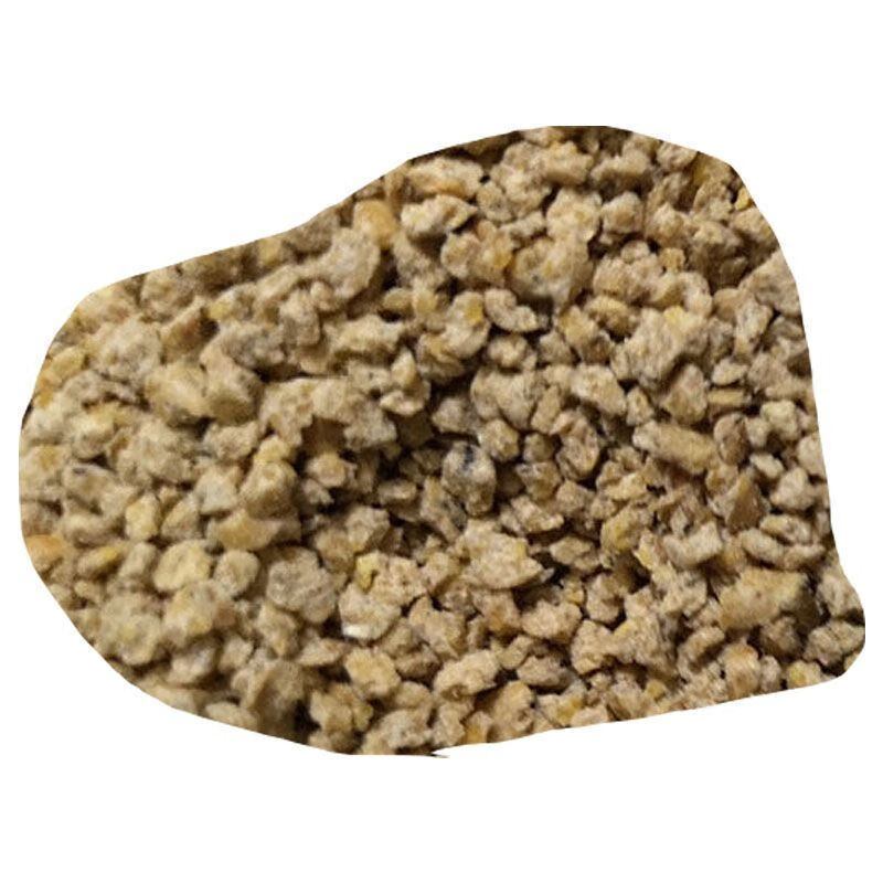 纯种狮头鹅杂交狮头鹅白鹅四川白鹅出壳朗德鹅小鹅养殖批发 大白鹅