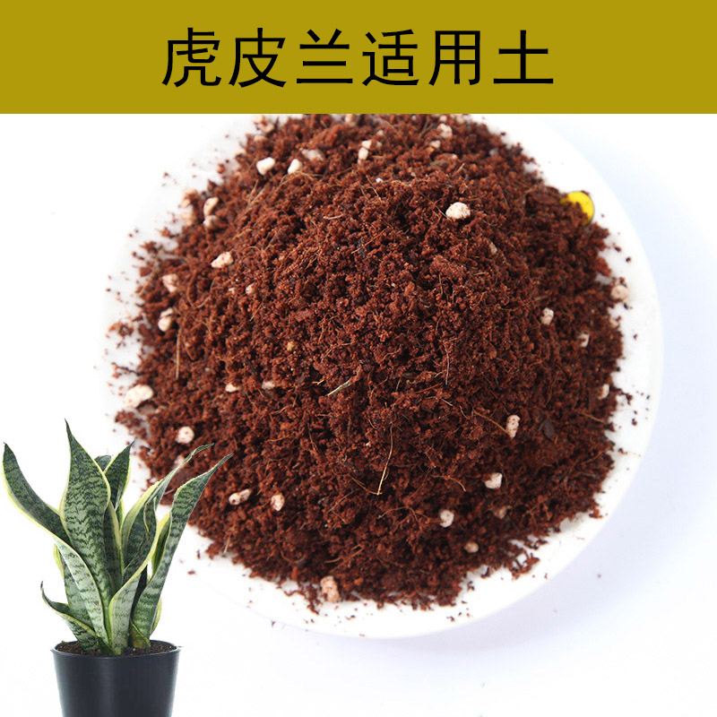 土花 相关京东优惠商品排行榜 3 价格图片品牌优惠券 虎窝购