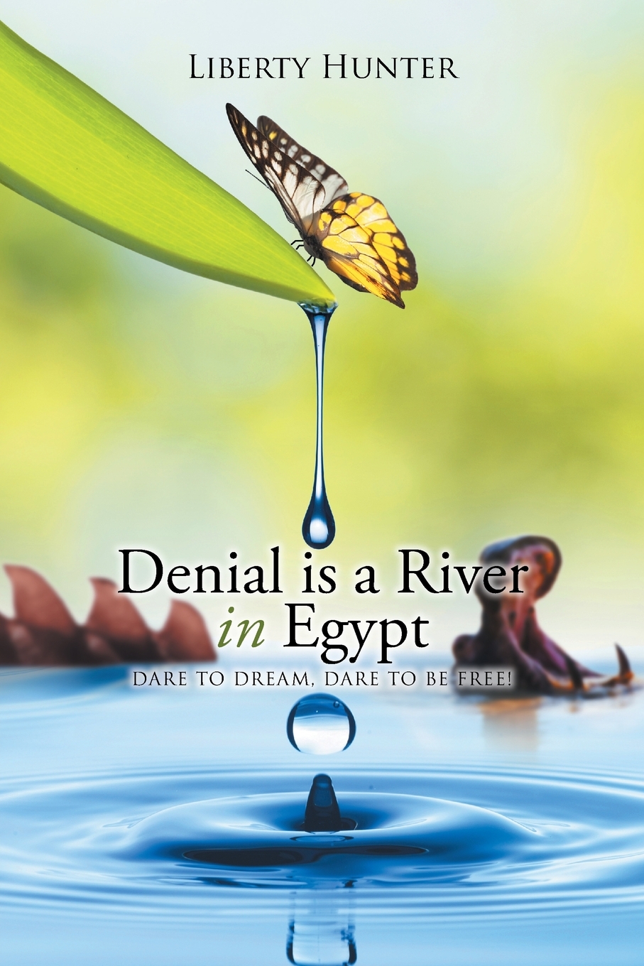 预售 按需印刷denial is a river in egypt