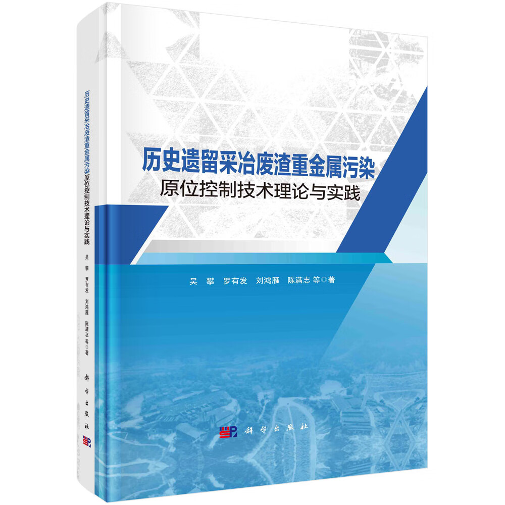 历史遗留采冶废渣重金属污染原位控制技术理