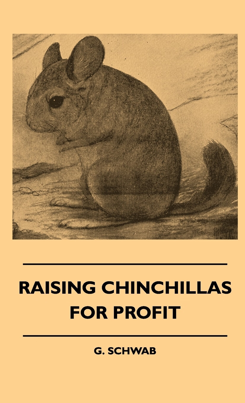 预售 按需印刷 raising chinchillas for profit