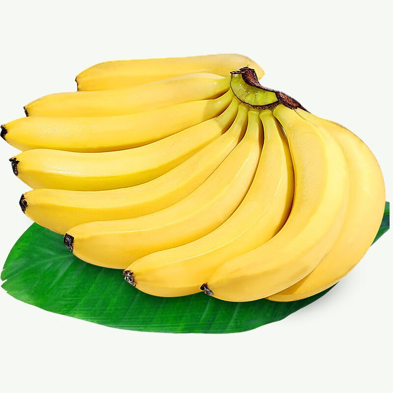 【枝头春】品牌香蕉：高品质，合理价格，引领市场潮流|香蕉价格历史查询