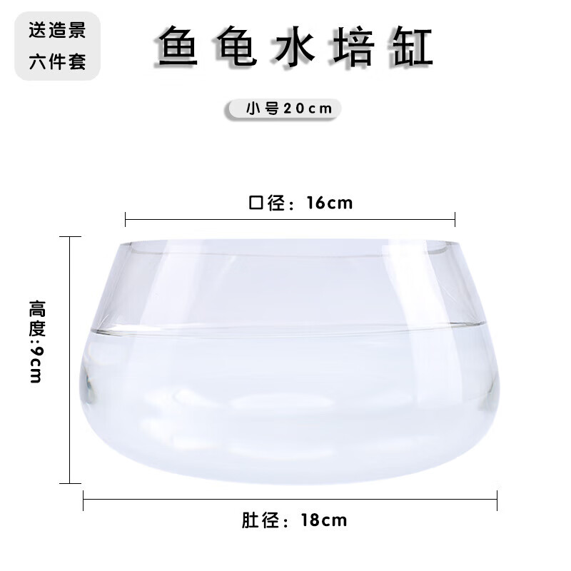 诗迦努金鱼缸玻璃圆形办公桌客厅水培家用小鱼缸透明小型迷你造景 小龟缸(+七彩石)
