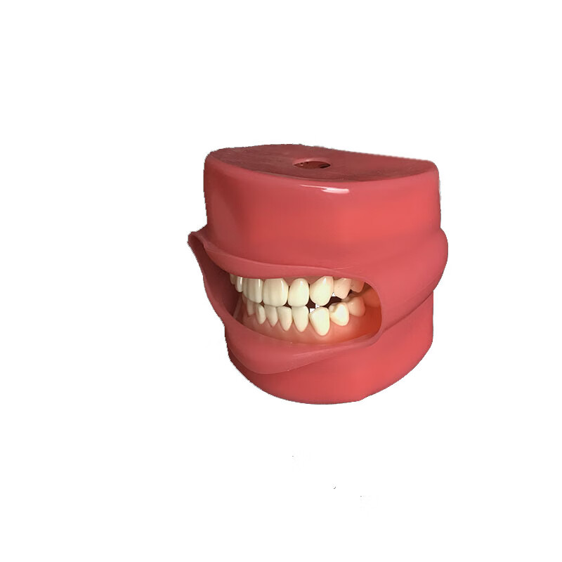 牙模仿真材料口腔器械可拆卸牙粒软牙龈备牙模型练习教学 红脸皮 备牙