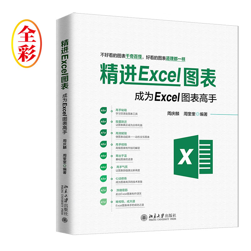 精进Excel图表：成为Excel图表高手（全彩）