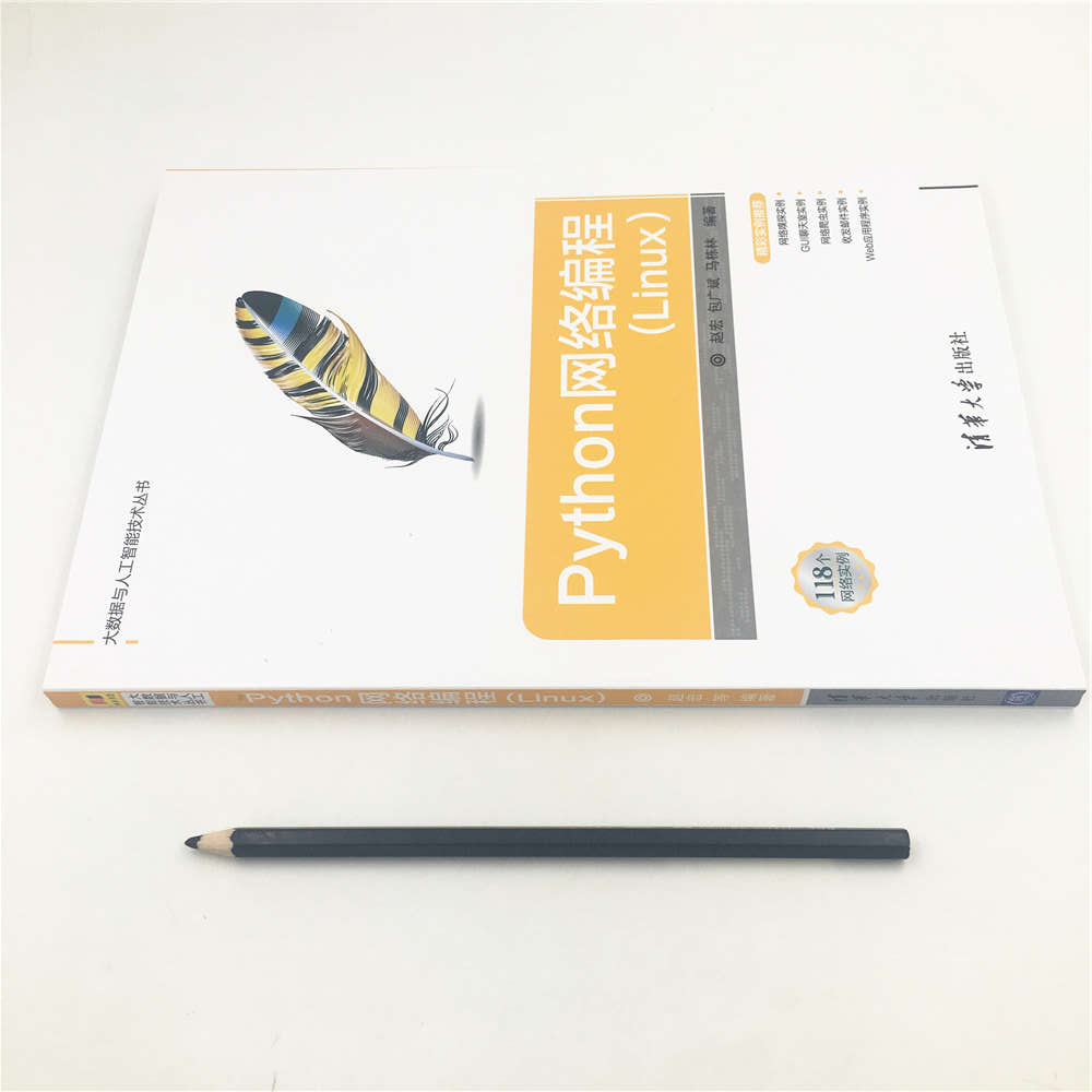 Python网络编程(Linux)（大数据与人工智能技术丛书）