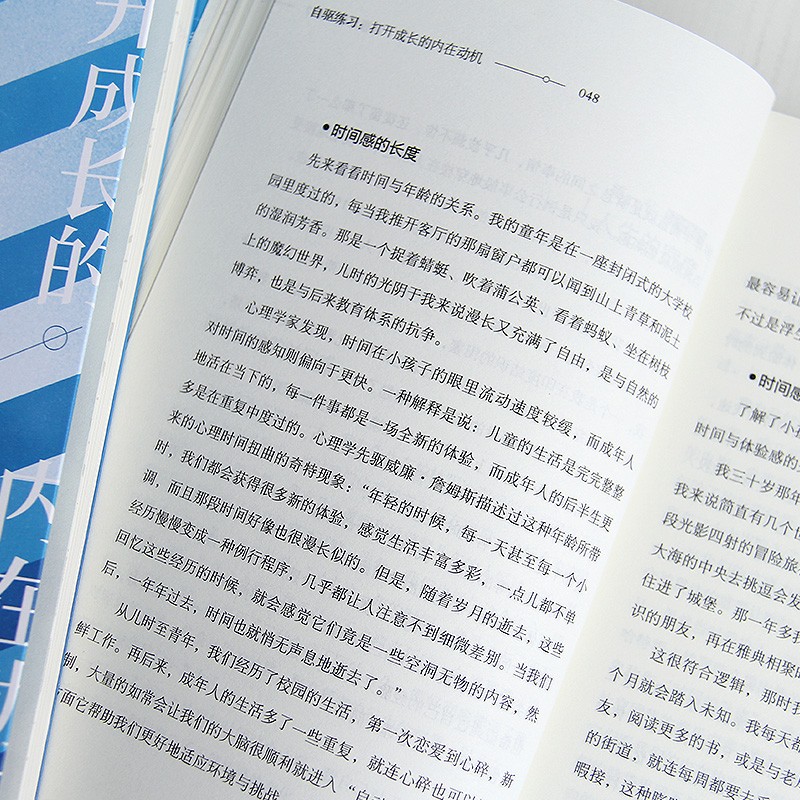 自驱练习：打开成长的内在动机（刻意学习 内在驱动力）内在成长疗愈详情图