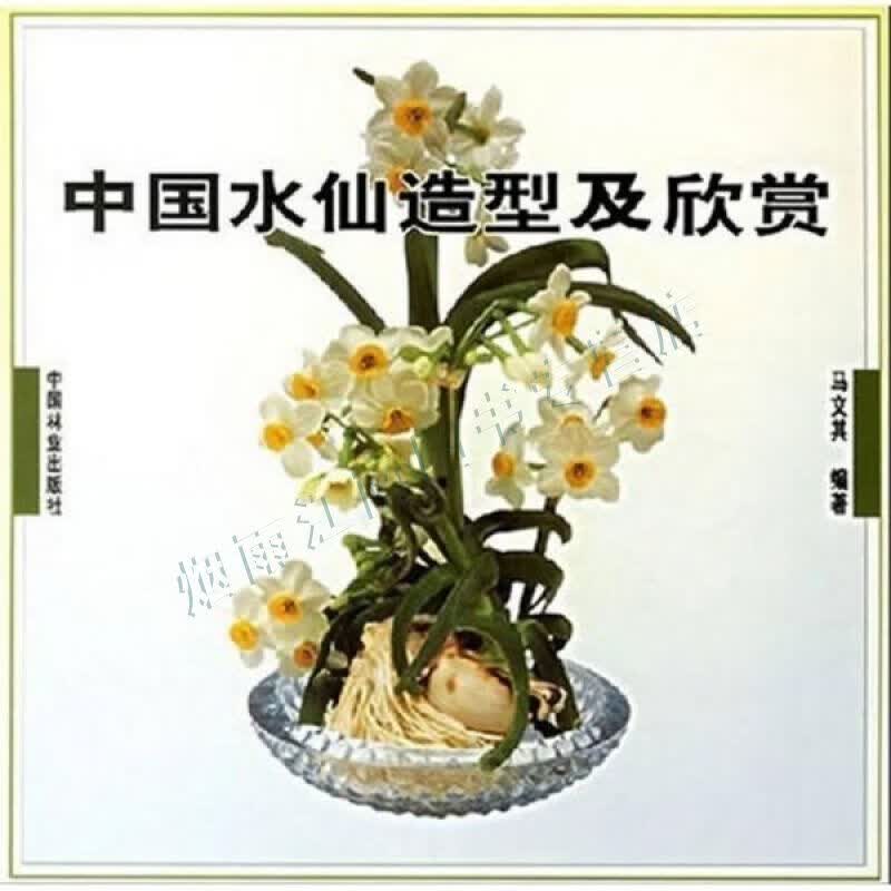 中国水仙造型及欣赏【上新】