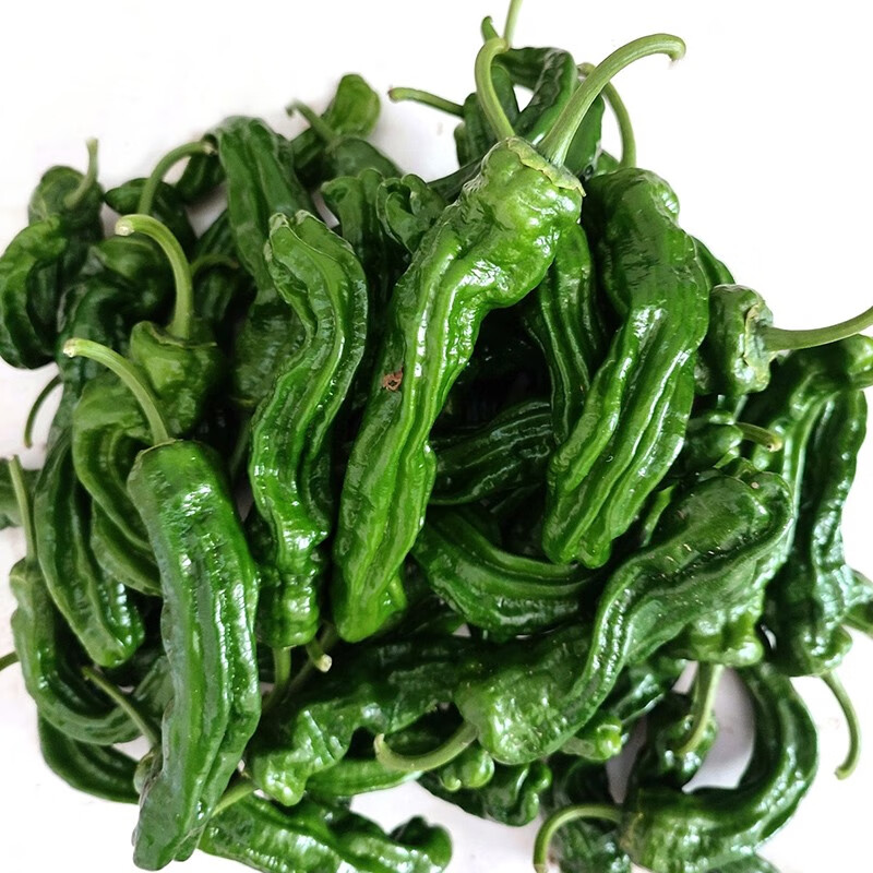 薄皮螺丝椒新鲜小皱皮土辣椒超辣特辣青辣椒现摘土椒 1kg
