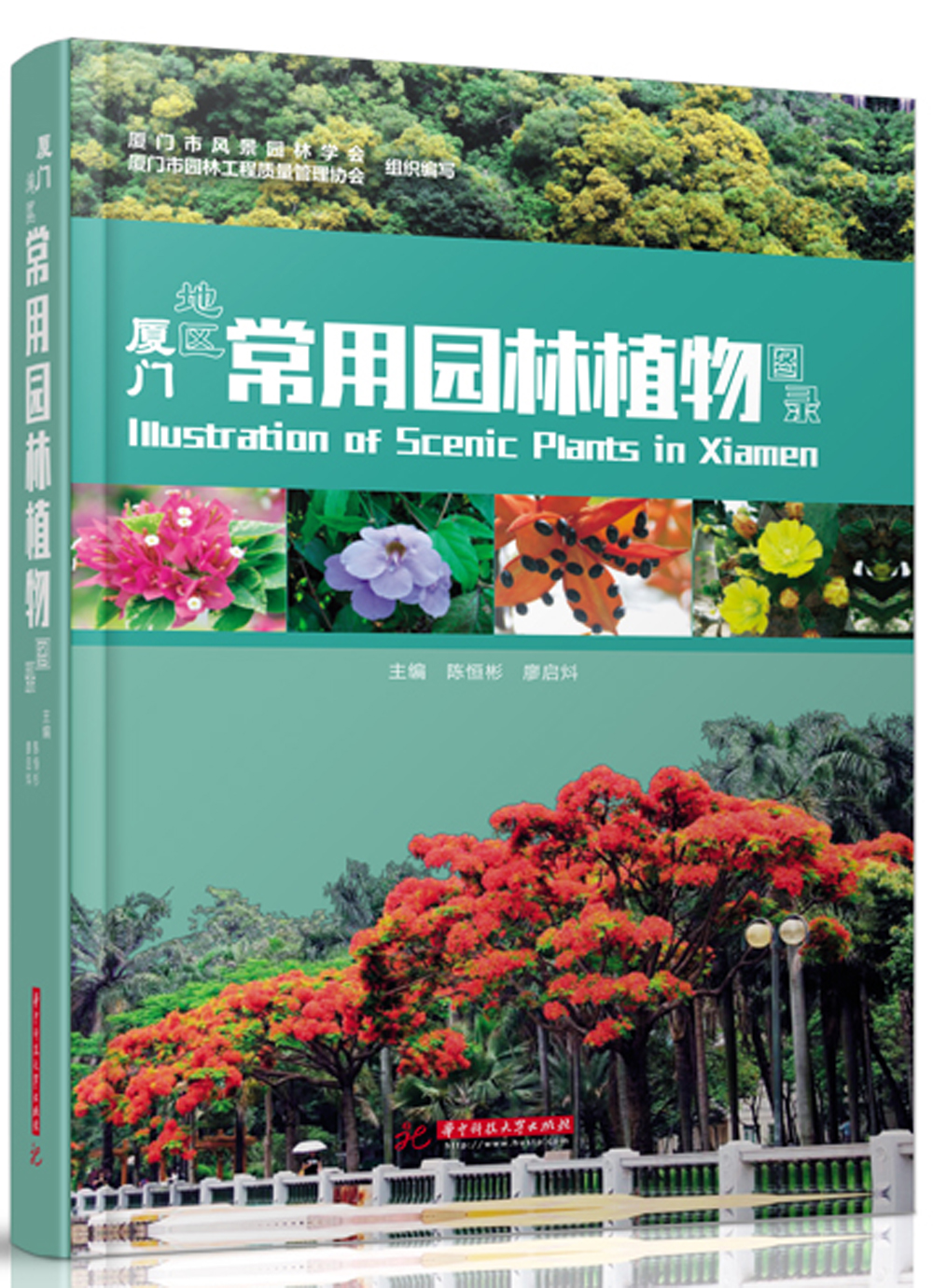 厦门地区常用园林植物图录
