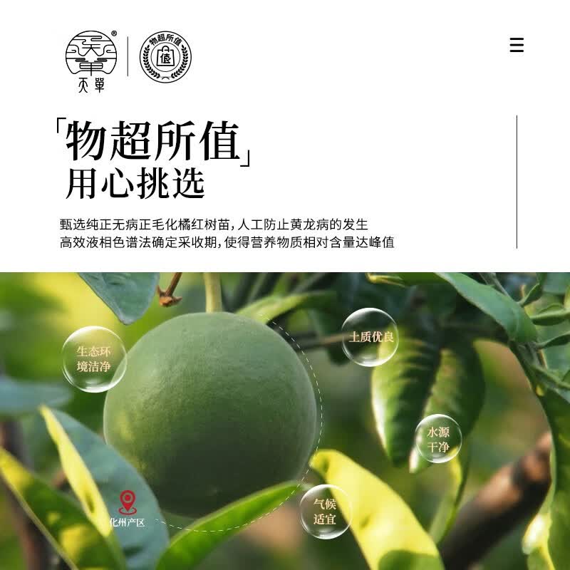 天单化橘红 50g果皮正宗化州源产橘红桔红正毛胎果果皮干办公室养生茶