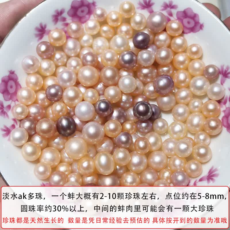 江浸月珍珠蚌自己开河蚌鲜活开蚌取珍珠特大自己养殖苗SN7385 精品AK多珠蚌1个 活体自己开高性价比高么？