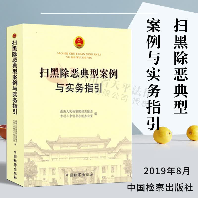 扫黑除恶典型案例与实务指引 9787510222801