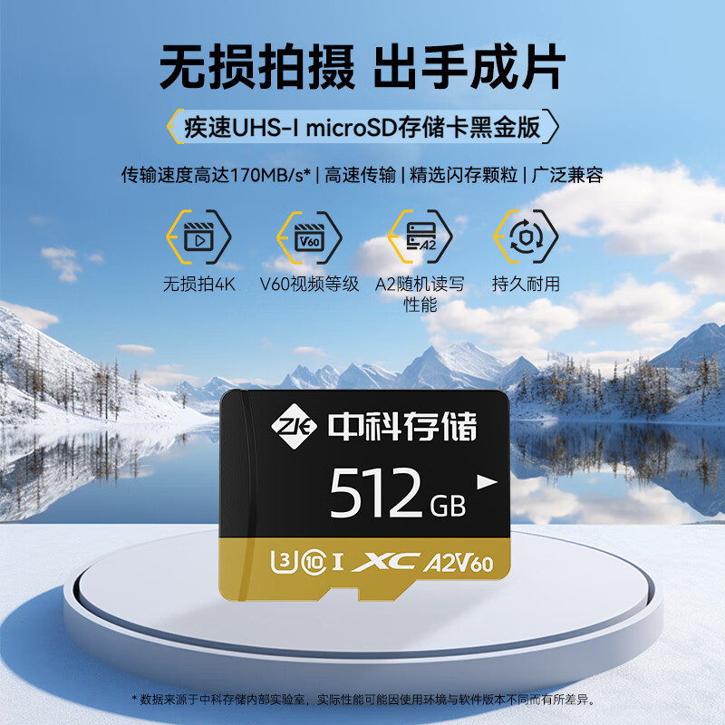 中科存 TF（MicroSD）存储卡A1 A2 高速内存卡行车记录仪监控无人机相机电脑摄像头360 256GB【TF卡黑金典藏款A2/V60】