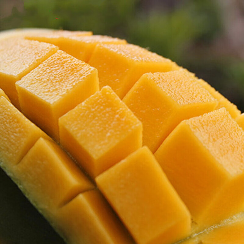 伯贤四川攀枝花凯特芒大芒果青芒果新鲜时令水果5-6斤