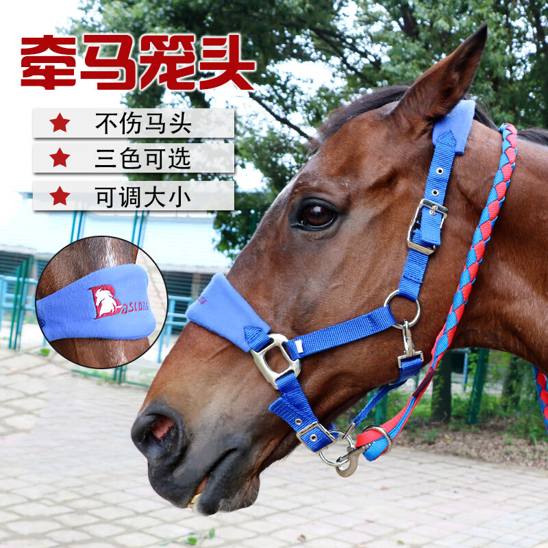 baslong高强度马龙头牵马笼头马龙套牵马绳防磨结实用品速干(多色多码
