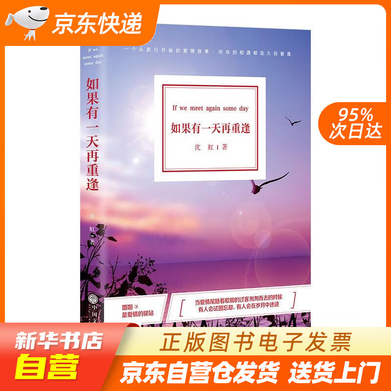 【满59包邮 全新正版】如果有一天再重逢