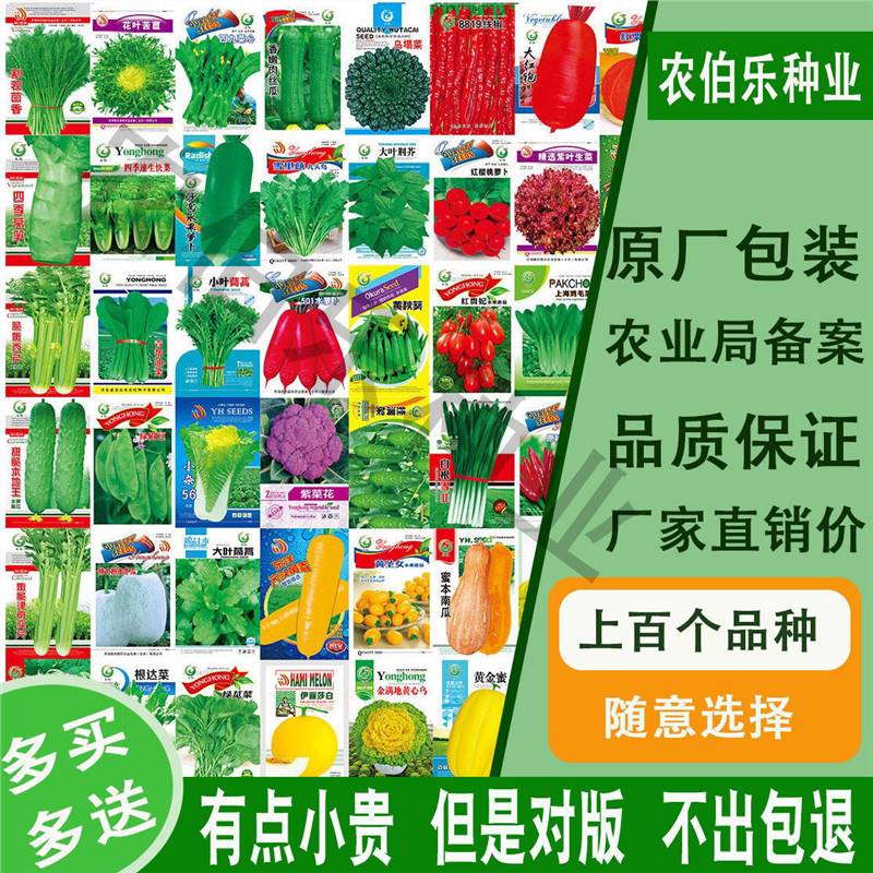 蔬菜种子四季播盆栽阳台庭院香菜生菜菠菜萝卜葱简单易种籽孑大全 自选15包彩包联系客服备注 多种品种混搭使用感如何?