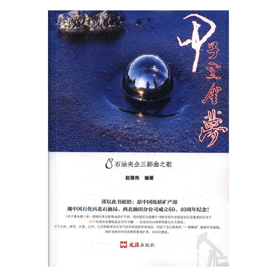 甲子黑金梦 经济 书籍