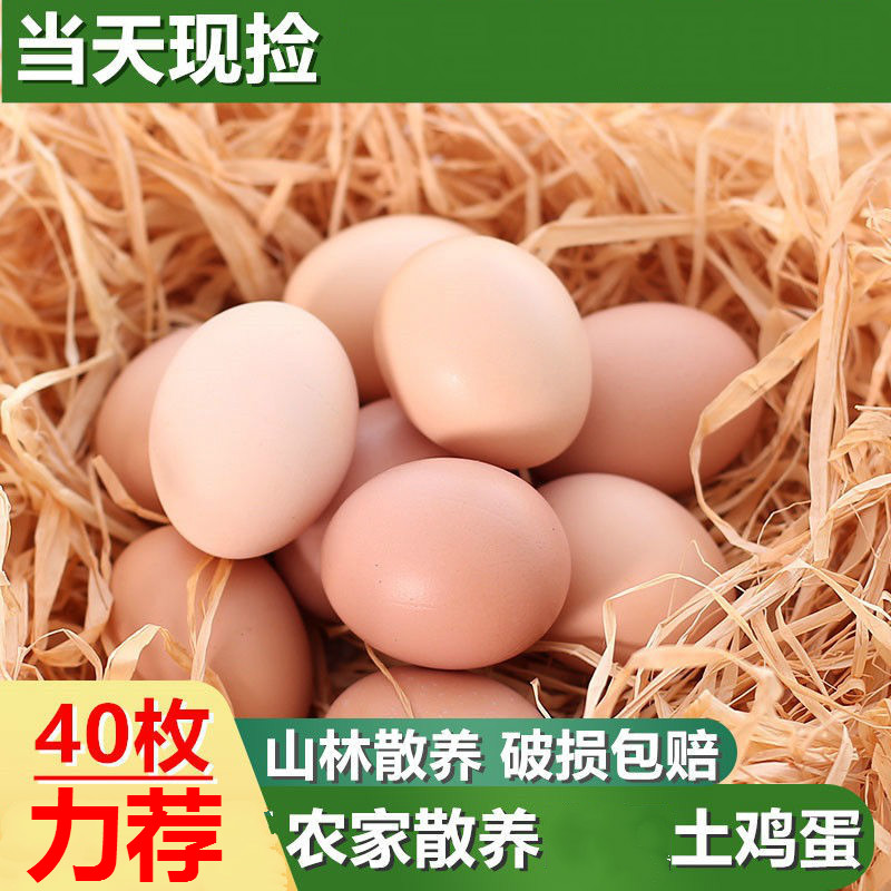 京營(yíng)土雞蛋農(nóng)家散養(yǎng)新鮮孕婦兒童愛(ài)吃農(nóng)村笨雞蛋自養(yǎng)草雞蛋 40個(gè)土雞蛋（大蛋50g左右/個(gè)）