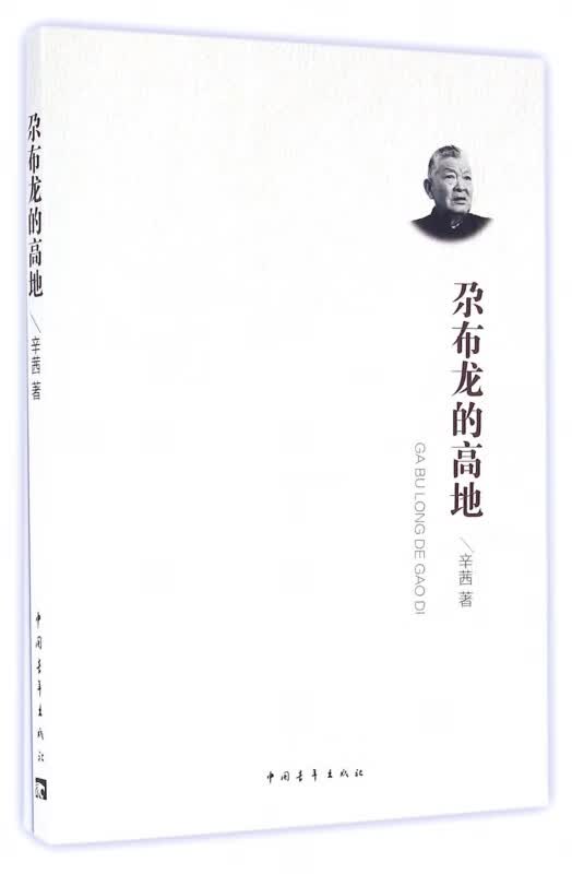 尕布龙的高地