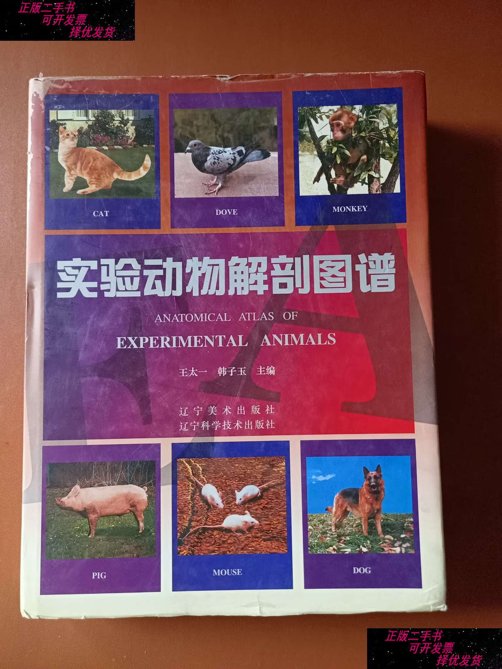 【二手9成新】实验动物解剖图谱 /王太一 辽宁美术