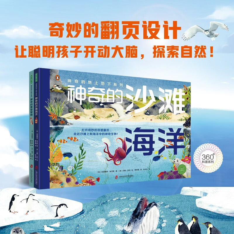 神奇的地上地下系列（神奇的沙滩海洋+神奇的黄昏黎明）创意翻页，自然科普自然观察美景图画科普启蒙详情图