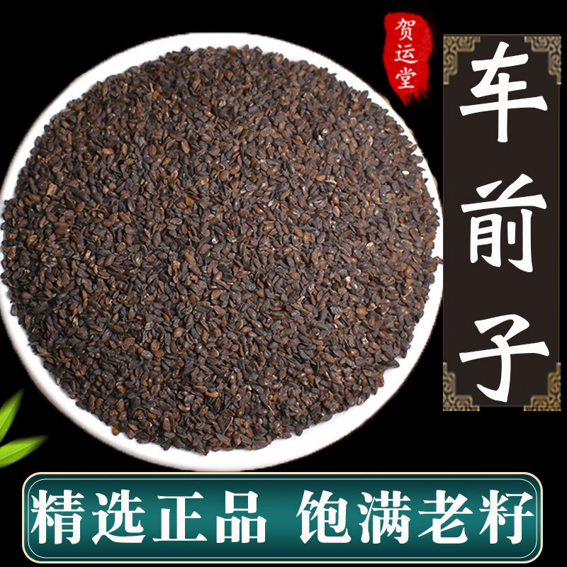 北京同仁品质车前子中药材500克大别山车前籽车前子茶  车前草籽内廷