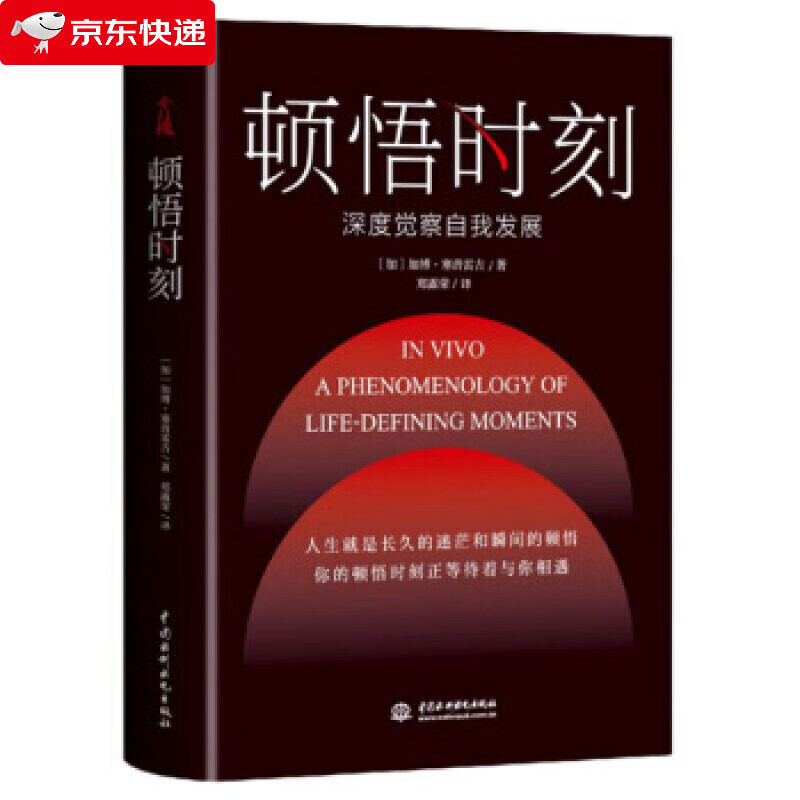 顿悟时刻 深度觉察自我发展 赠精美六折页小册子 名家观点做有效的