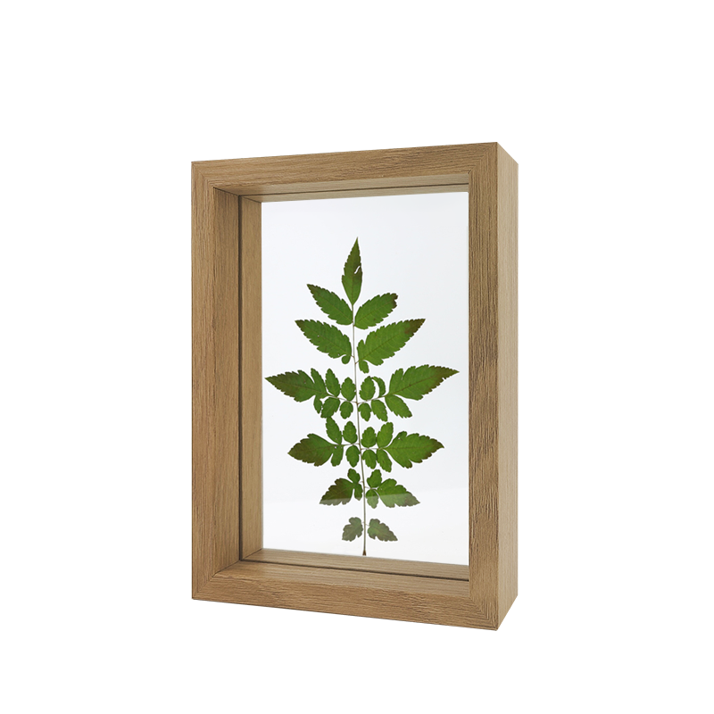 QUATREFOIL透明木质双面玻璃相框植物标本立体画框 原木色6寸100021284053