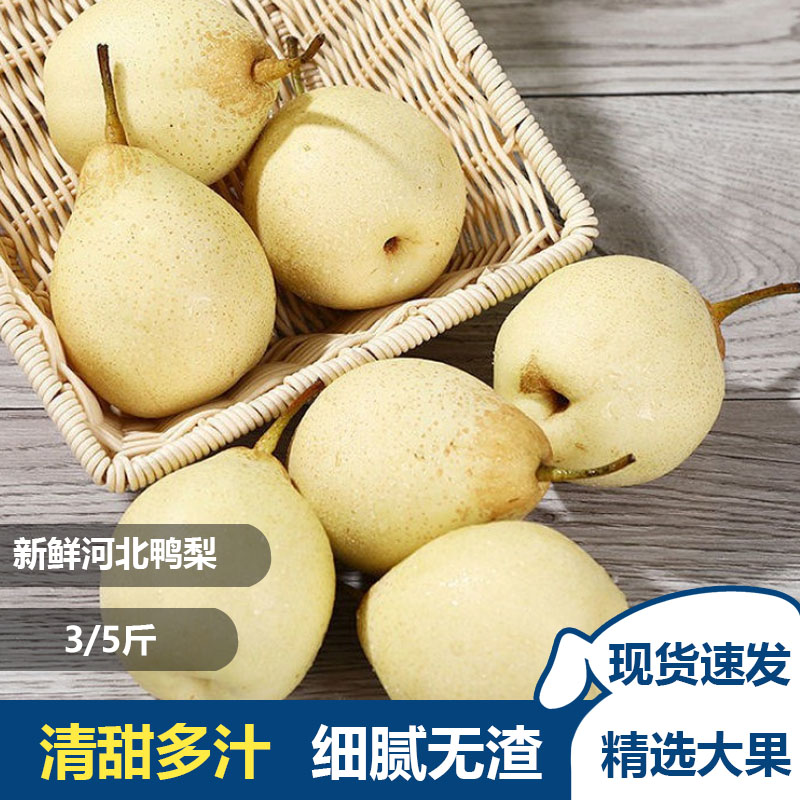 魏县鸭梨新鲜水果梨子10斤整箱当季应季时令水果脆甜香梨河北特产 3斤