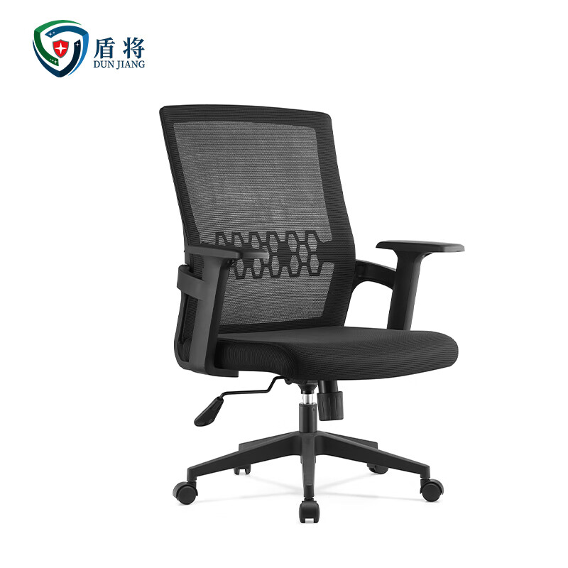 盾将人体工学椅高级办公椅休闲商务椅职员椅 黑框黑色尼龙脚w29b-d