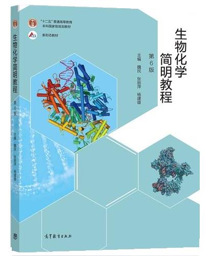 【用过的图书 少量笔记 择优发货 正版保证】生物化学简明教程第六6版高等教育出版社