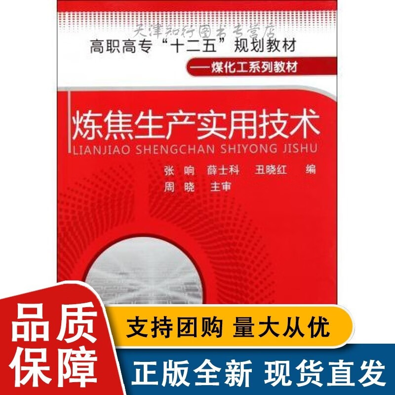 炼焦生产实用技术(张响)