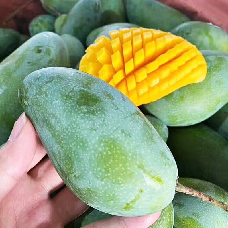 张小壮广西金煌芒 芒果 新鲜水果 当季热带 礼盒 精选3斤单果约150g