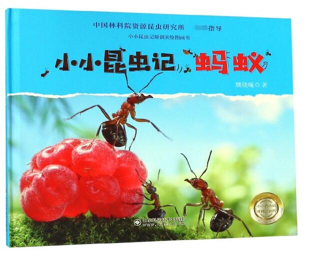 小小昆虫记(蚂蚁)(精)/小小昆虫记原创美绘图画书
