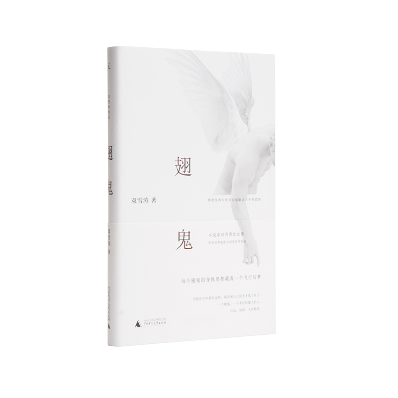 翅鬼 双雪涛 平原上的摩西 飞行家 理想国图书官方旗舰店
