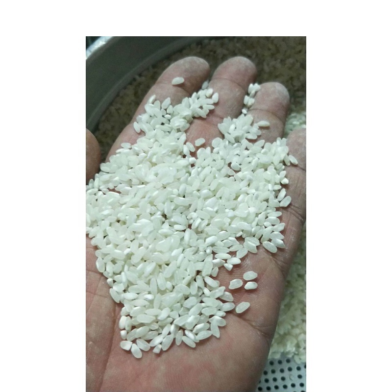 虎钢馋广东肠粉专用米陈圆早籼米早稻米线无粘性大米50斤25kgx