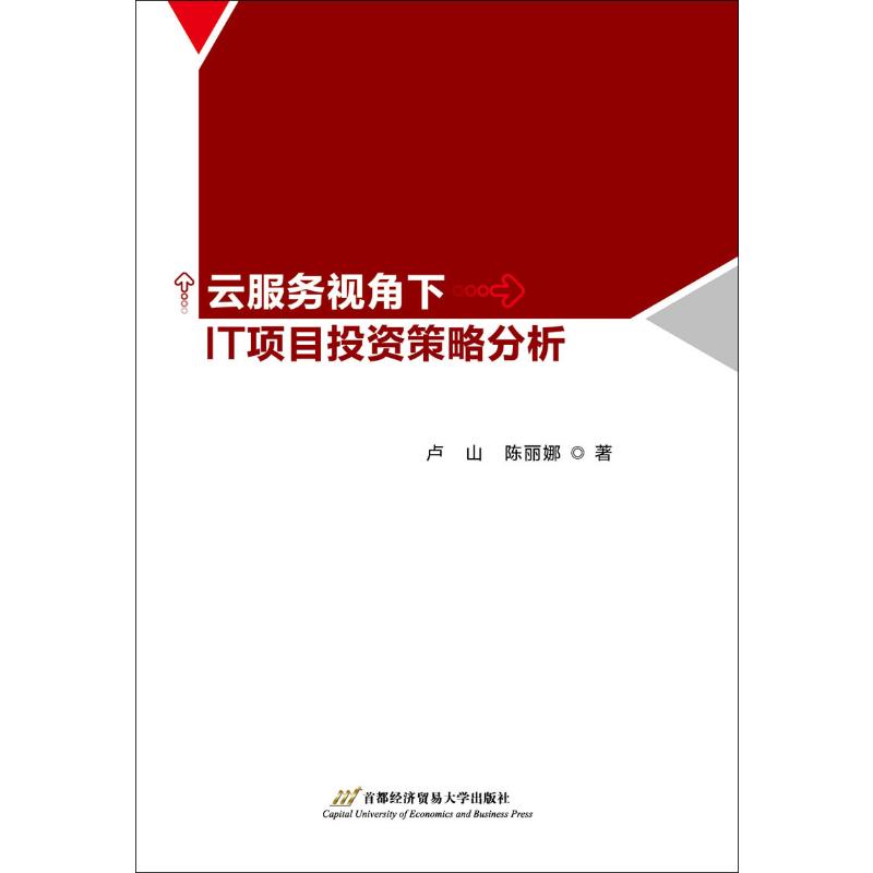 云服务视角下IT项目投资策略分析