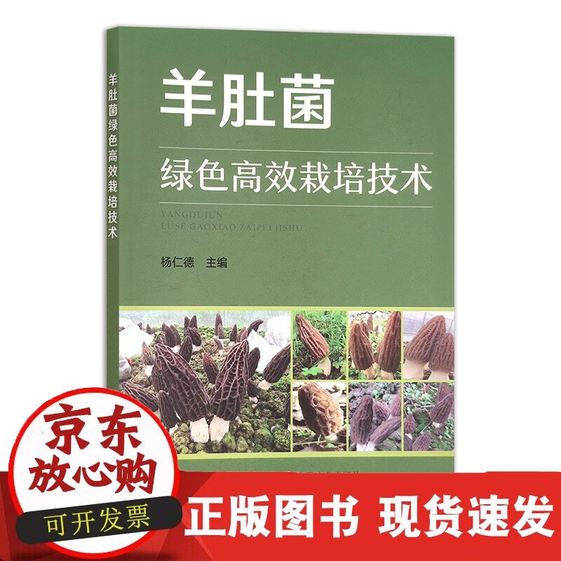 速发 羊肚菌绿色高效栽培技术978710