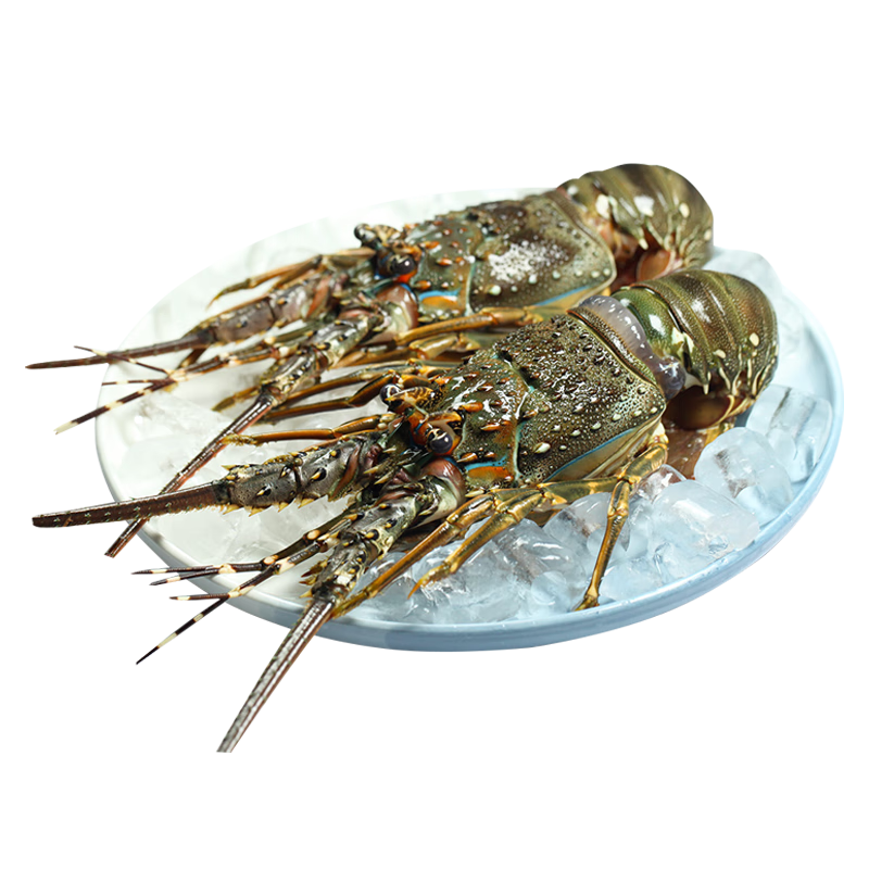 ����� С����Ϻ ����Ϻ ����Ϻ �ʻ��䶳����Ϻ�� 410-500g/ֻ181.78Ԫ(��յ�����90.89Ԫ/��)