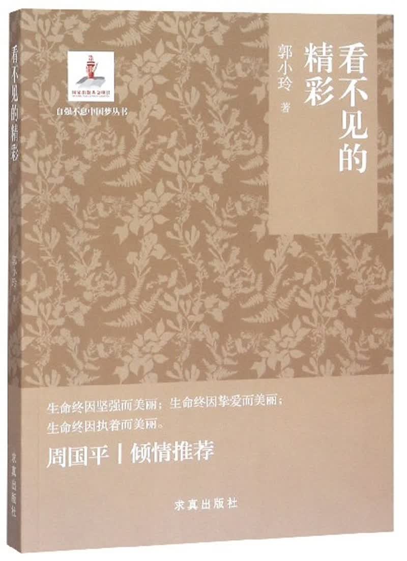 看不见的精彩/自强不息中国梦丛书