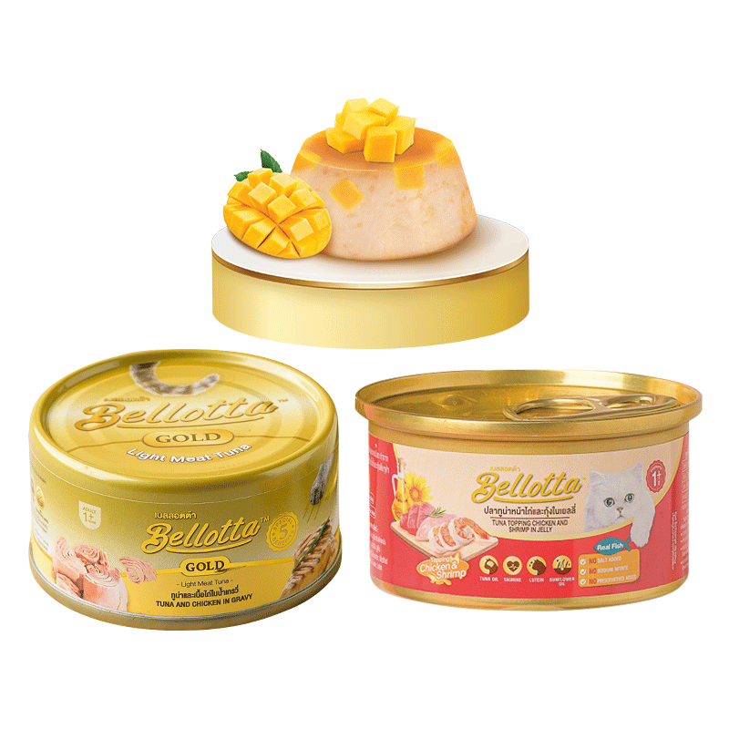 猫零食怎么看历史价格|猫零食价格历史