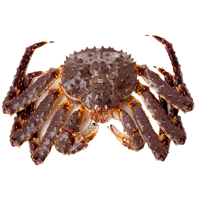 ڲʳ зش˹ʻ䶳 ʵзз з 4.5-5/ֻʵݡ 466Ԫ