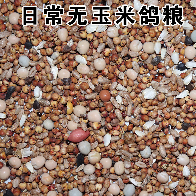 京纯鸽粮食鸽子粮鸽粮批发幼鸽鸽粮有玉米无玉米清除鸽粮科威顿 5斤无
