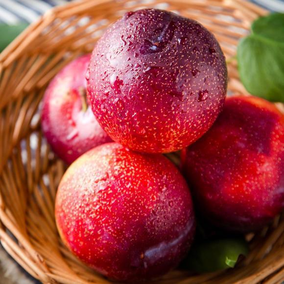 【前五】新鲜红李子孕妇水果安格拉大李子酸甜脆爽黑布林脱骨 4斤