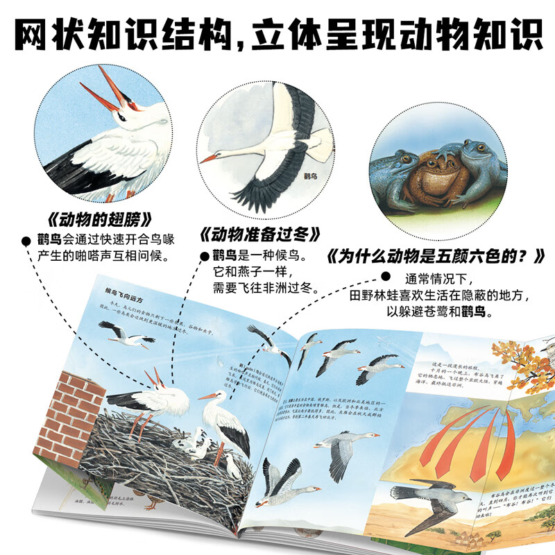 生命的故事 手绘版 400多物种80张翻页 动物世界昆虫朋友大百科自然科学科普绘本自然启蒙全书 3-8岁幼儿园儿童小学生课外阅读